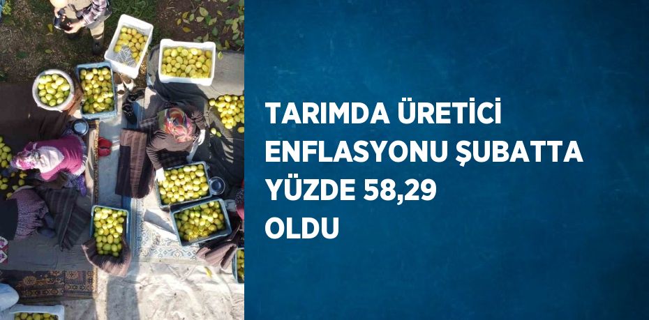 TARIMDA ÜRETİCİ ENFLASYONU ŞUBATTA YÜZDE 58,29 OLDU