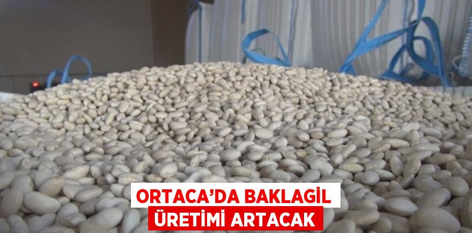 ORTACA’DA BAKLAGİL ÜRETİMİ ARTACAK