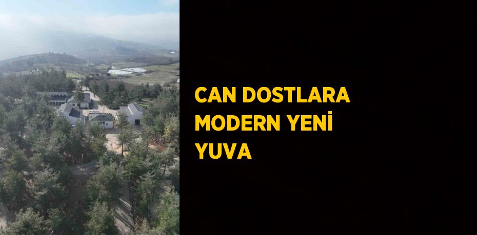 CAN DOSTLARA MODERN YENİ YUVA