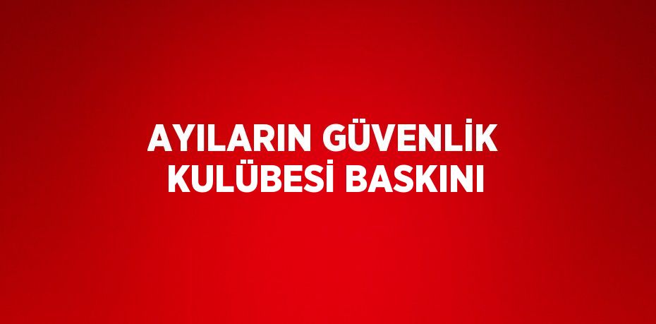 AYILARIN GÜVENLİK KULÜBESİ BASKINI