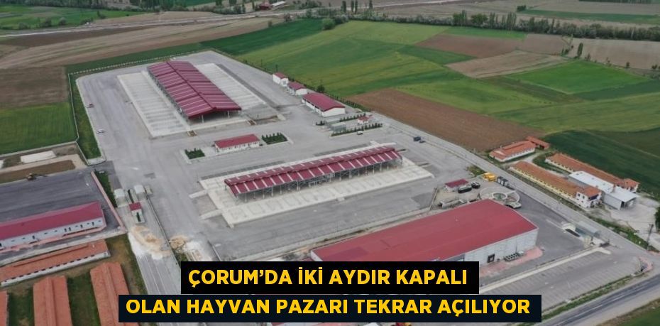 ÇORUM’DA İKİ AYDIR KAPALI OLAN HAYVAN PAZARI TEKRAR AÇILIYOR