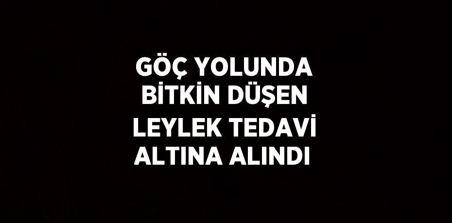 GÖÇ YOLUNDA BİTKİN DÜŞEN LEYLEK TEDAVİ ALTINA ALINDI