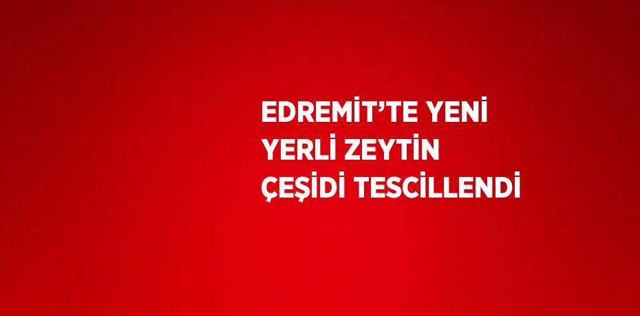 EDREMİT’TE YENİ YERLİ ZEYTİN ÇEŞİDİ TESCİLLENDİ