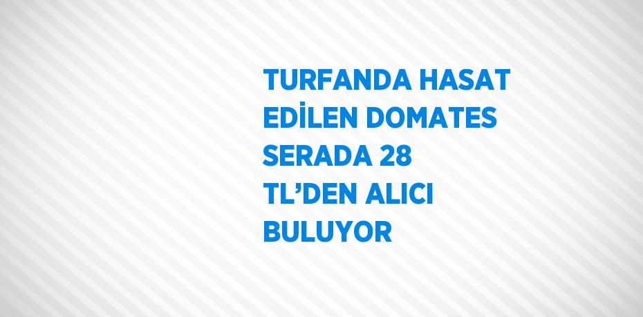 TURFANDA HASAT EDİLEN DOMATES SERADA 28 TL’DEN ALICI BULUYOR