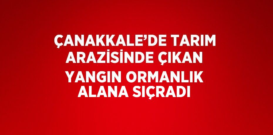 ÇANAKKALE’DE TARIM ARAZİSİNDE ÇIKAN YANGIN ORMANLIK ALANA SIÇRADI