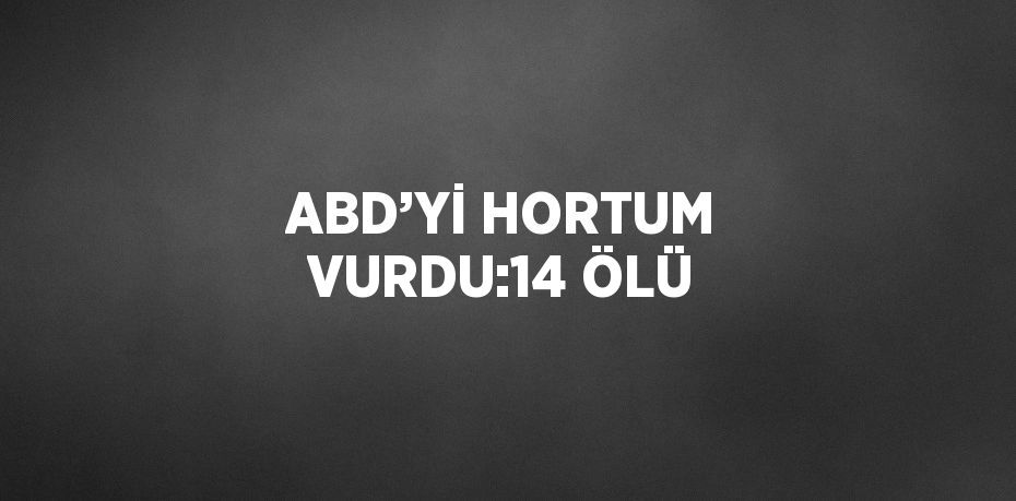 ABD’Yİ HORTUM VURDU:14 ÖLÜ