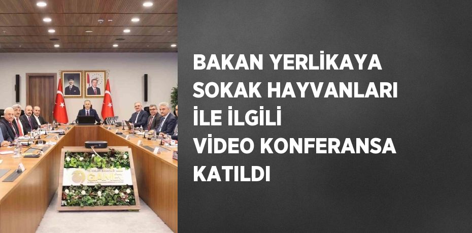 BAKAN YERLİKAYA SOKAK HAYVANLARI İLE İLGİLİ VİDEO KONFERANSA KATILDI