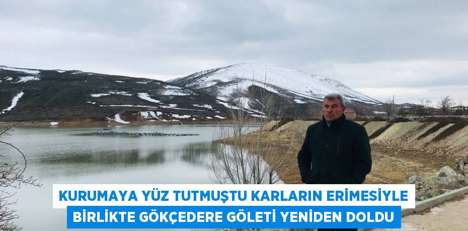 Kurumaya yüz tutmuştu karların erimesiyle birlikte Gökçedere Göleti yeniden doldu