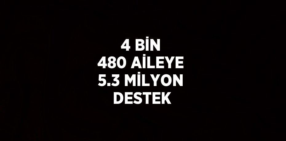 4 BİN 480 AİLEYE 5.3 MİLYON DESTEK