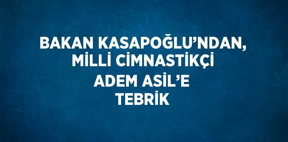 BAKAN KASAPOĞLU’NDAN, MİLLİ CİMNASTİKÇİ ADEM ASİL’E TEBRİK