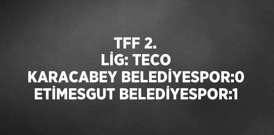 TFF 2. LİG: TECO KARACABEY BELEDİYESPOR:0 ETİMESGUT BELEDİYESPOR:1