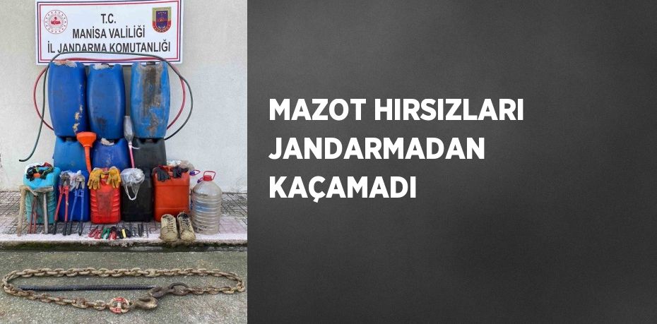 MAZOT HIRSIZLARI JANDARMADAN KAÇAMADI