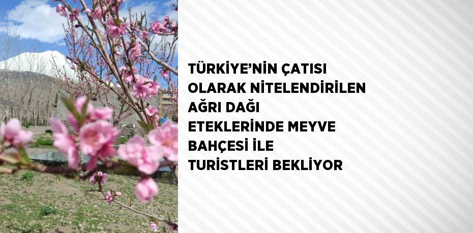 TÜRKİYE’NİN ÇATISI OLARAK NİTELENDİRİLEN AĞRI DAĞI ETEKLERİNDE MEYVE BAHÇESİ İLE TURİSTLERİ BEKLİYOR