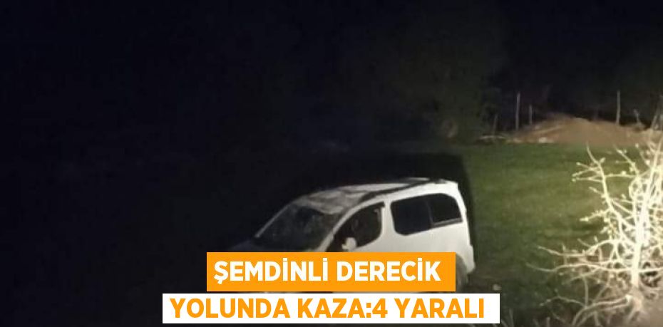 ŞEMDİNLİ DERECİK YOLUNDA KAZA:4 YARALI