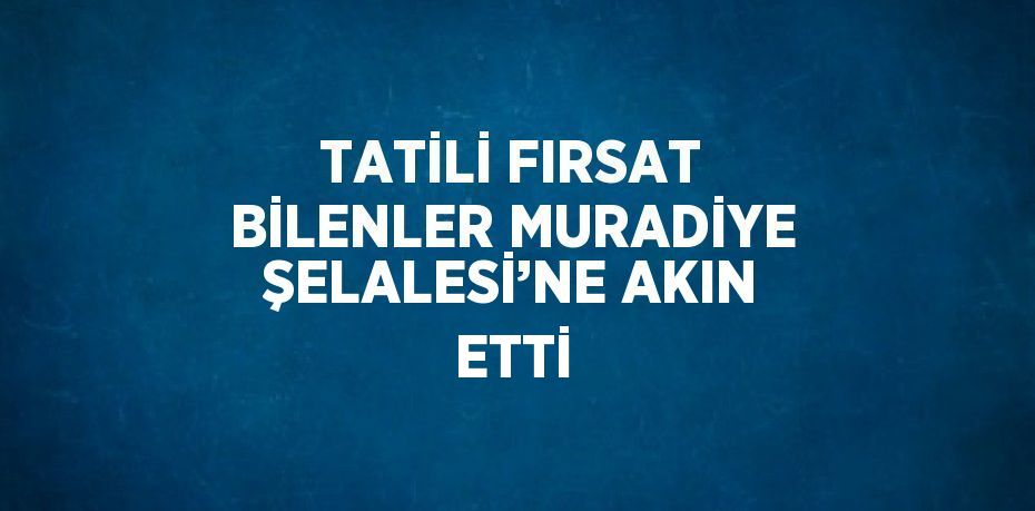 TATİLİ FIRSAT BİLENLER MURADİYE ŞELALESİ’NE AKIN ETTİ