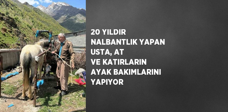 20 YILDIR NALBANTLIK YAPAN USTA, AT VE KATIRLARIN AYAK BAKIMLARINI YAPIYOR