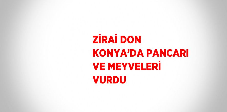 ZİRAİ DON KONYA’DA PANCARI VE MEYVELERİ VURDU