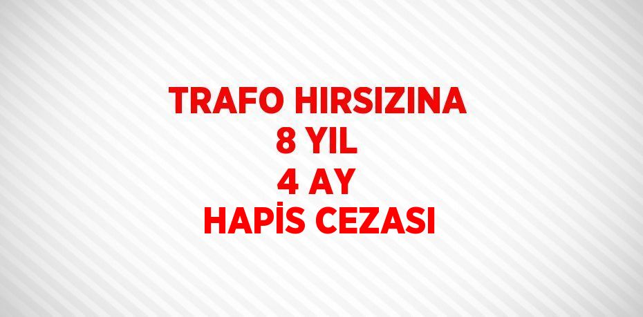 TRAFO HIRSIZINA 8 YIL 4 AY HAPİS CEZASI
