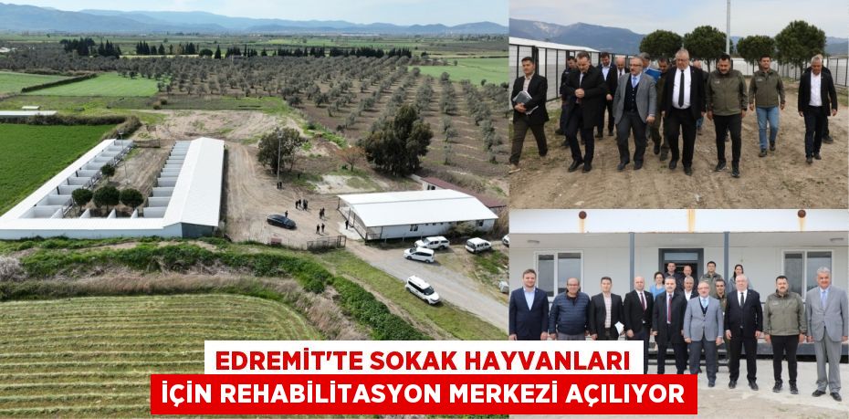 EDREMİT’TE SOKAK HAYVANLARI İÇİN REHABİLİTASYON MERKEZİ AÇILIYOR
