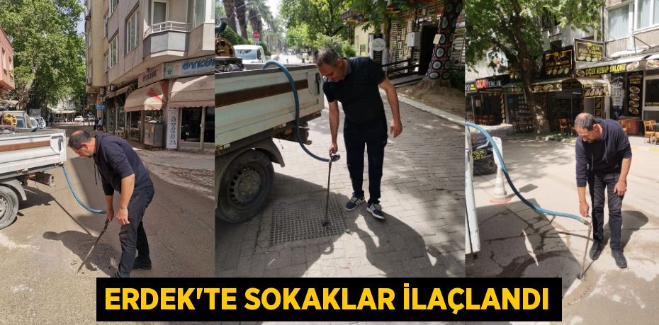 ERDEK’TE SOKAKLAR İLAÇLANDI