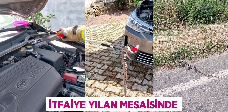 İTFAİYE YILAN MESAİSİNDE