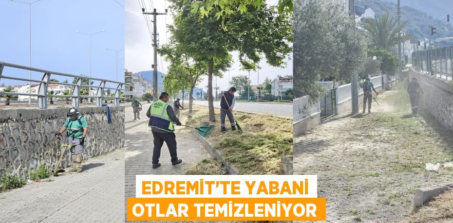 EDREMİT’TE YABANİ OTLAR TEMİZLENİYOR