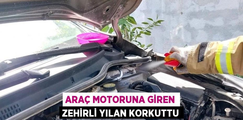 ARAÇ MOTORUNA GİREN ZEHİRLİ YILAN KORKUTTU