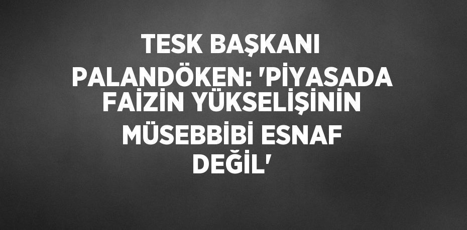 TESK BAŞKANI PALANDÖKEN: 'PİYASADA FAİZİN YÜKSELİŞİNİN MÜSEBBİBİ ESNAF DEĞİL'