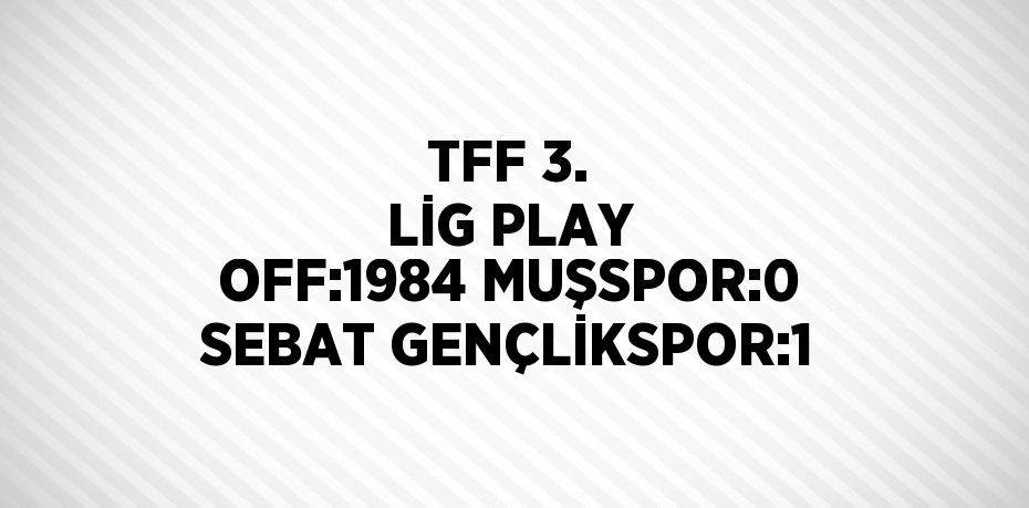 TFF 3. LİG PLAY OFF:1984 MUŞSPOR:0 SEBAT GENÇLİKSPOR:1