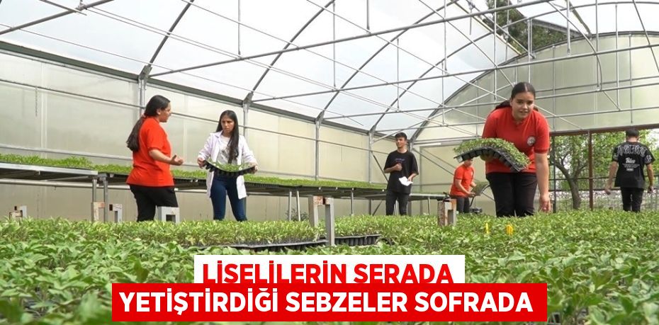 LİSELİLERİN SERADA YETİŞTİRDİĞİ SEBZELER SOFRADA