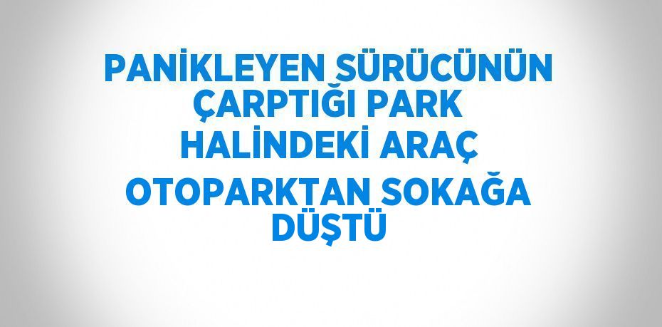 PANİKLEYEN SÜRÜCÜNÜN ÇARPTIĞI PARK HALİNDEKİ ARAÇ OTOPARKTAN SOKAĞA DÜŞTÜ