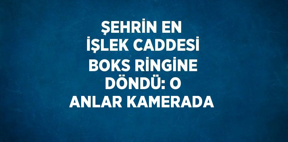 ŞEHRİN EN İŞLEK CADDESİ BOKS RİNGİNE DÖNDÜ: O ANLAR KAMERADA