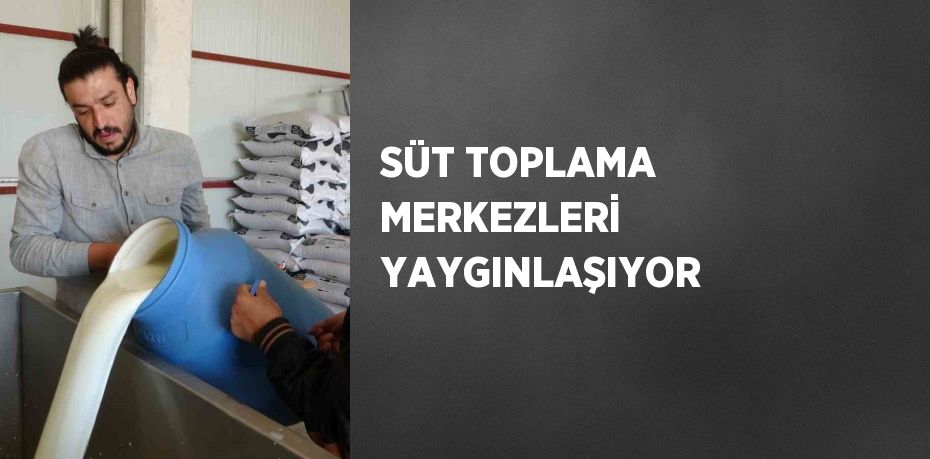 SÜT TOPLAMA MERKEZLERİ YAYGINLAŞIYOR