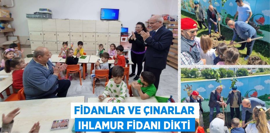 FİDANLAR VE ÇINARLAR IHLAMUR FİDANI DİKTİ