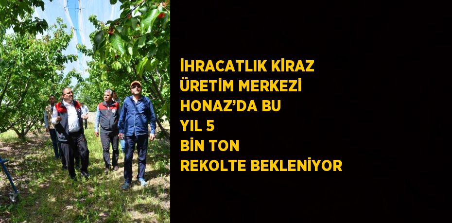 İHRACATLIK KİRAZ ÜRETİM MERKEZİ HONAZ’DA BU YIL 5 BİN TON REKOLTE BEKLENİYOR