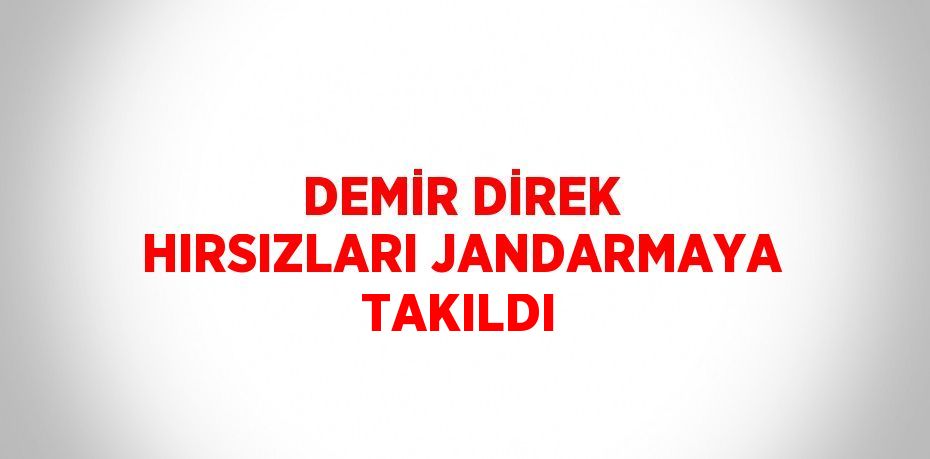 DEMİR DİREK HIRSIZLARI JANDARMAYA TAKILDI