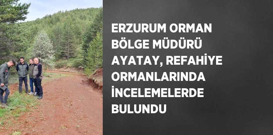 ERZURUM ORMAN BÖLGE MÜDÜRÜ AYATAY, REFAHİYE ORMANLARINDA İNCELEMELERDE BULUNDU