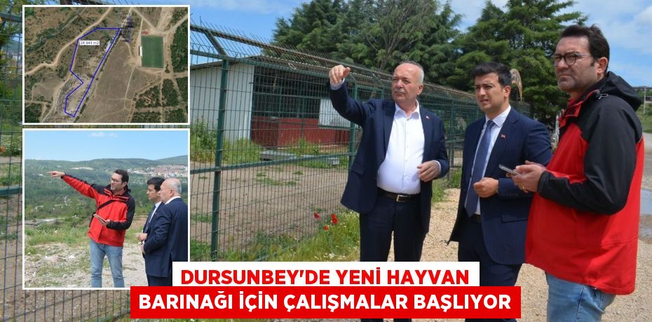 DURSUNBEY’DE YENİ HAYVAN BARINAĞI İÇİN ÇALIŞMALAR BAŞLIYOR