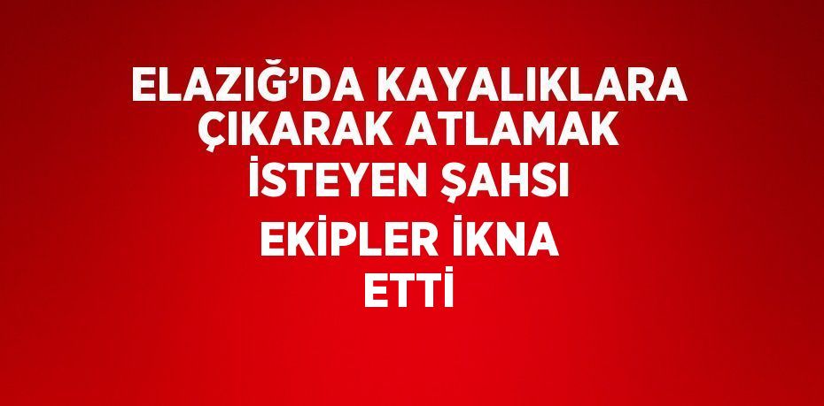 ELAZIĞ’DA KAYALIKLARA ÇIKARAK ATLAMAK İSTEYEN ŞAHSI EKİPLER İKNA ETTİ