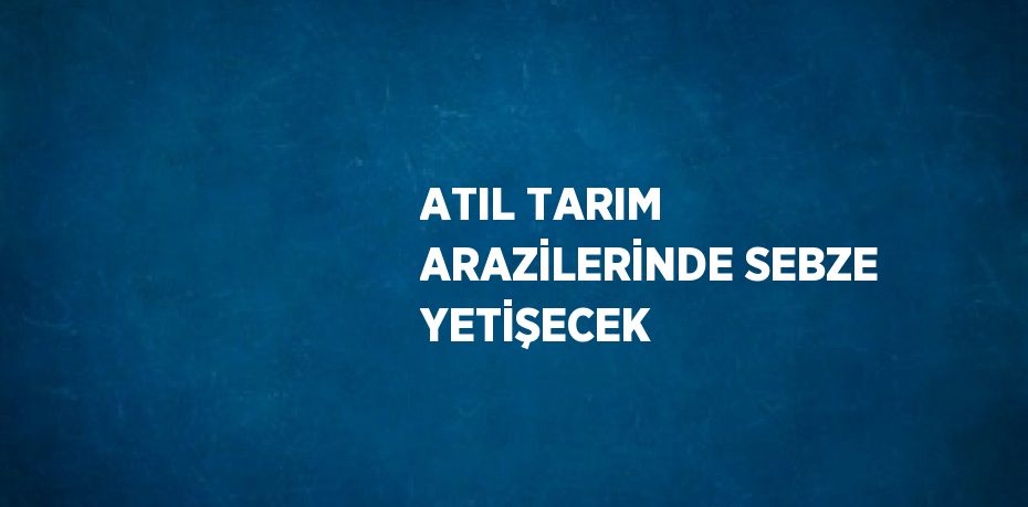 ATIL TARIM ARAZİLERİNDE SEBZE YETİŞECEK