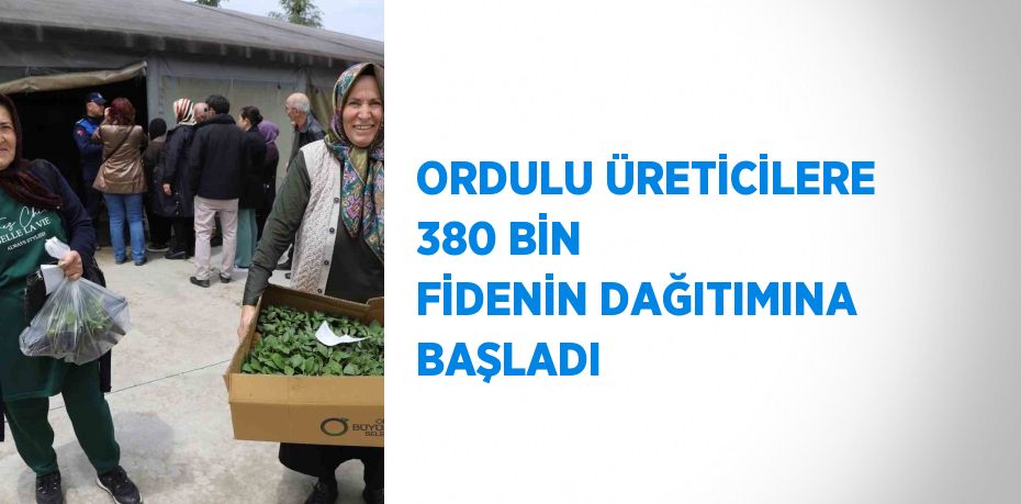 ORDULU ÜRETİCİLERE 380 BİN FİDENİN DAĞITIMINA BAŞLADI