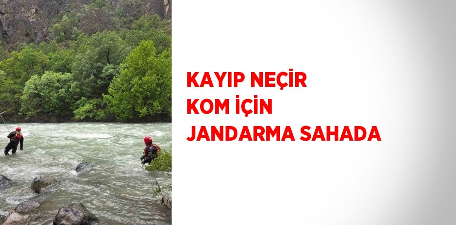 KAYIP NEÇİR KOM İÇİN JANDARMA SAHADA