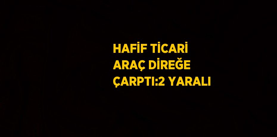 HAFİF TİCARİ ARAÇ DİREĞE ÇARPTI:2 YARALI
