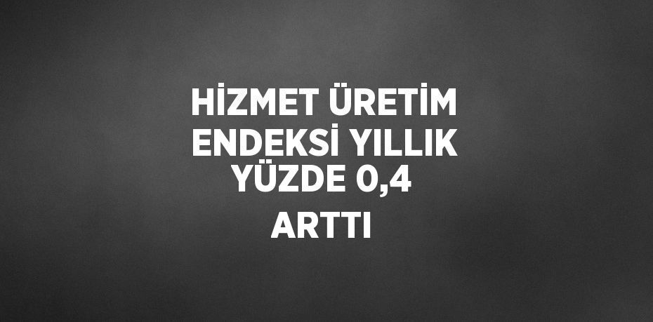 HİZMET ÜRETİM ENDEKSİ YILLIK YÜZDE 0,4 ARTTI