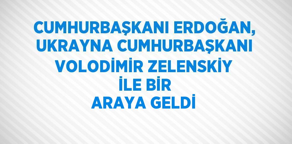 CUMHURBAŞKANI ERDOĞAN, UKRAYNA CUMHURBAŞKANI VOLODİMİR ZELENSKİY İLE BİR ARAYA GELDİ
