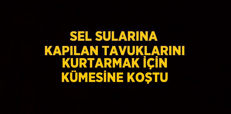 SEL SULARINA KAPILAN TAVUKLARINI KURTARMAK İÇİN KÜMESİNE KOŞTU