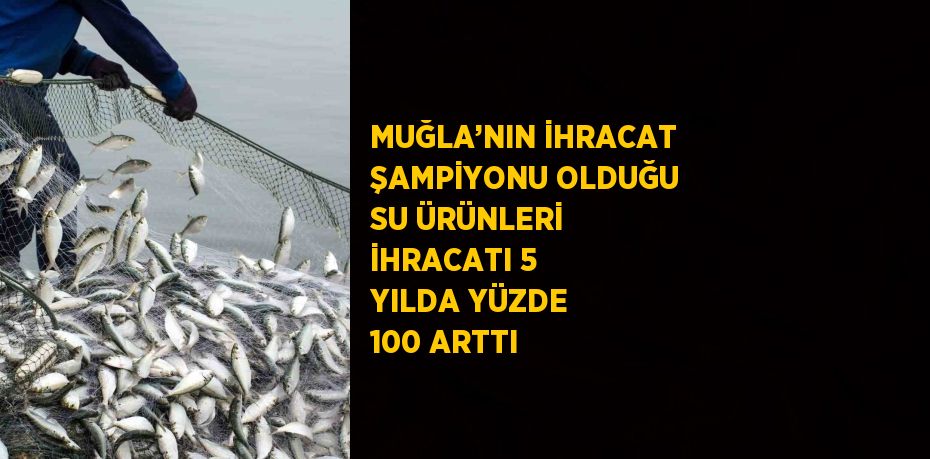 MUĞLA’NIN İHRACAT ŞAMPİYONU OLDUĞU SU ÜRÜNLERİ İHRACATI 5 YILDA YÜZDE 100 ARTTI