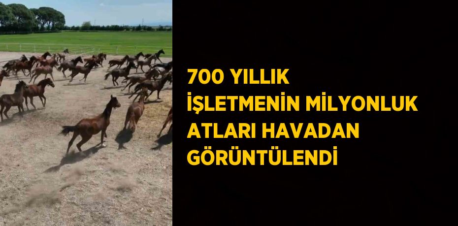 700 YILLIK İŞLETMENİN MİLYONLUK ATLARI HAVADAN GÖRÜNTÜLENDİ