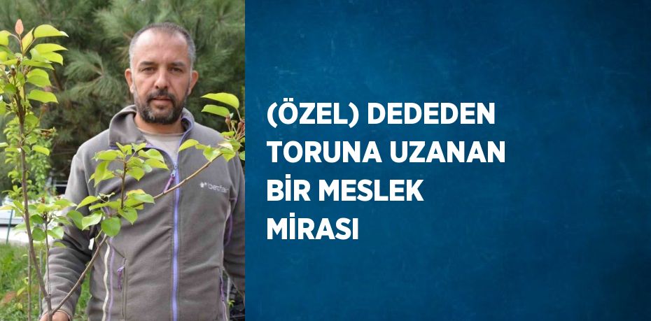 (ÖZEL) DEDEDEN TORUNA UZANAN BİR MESLEK MİRASI