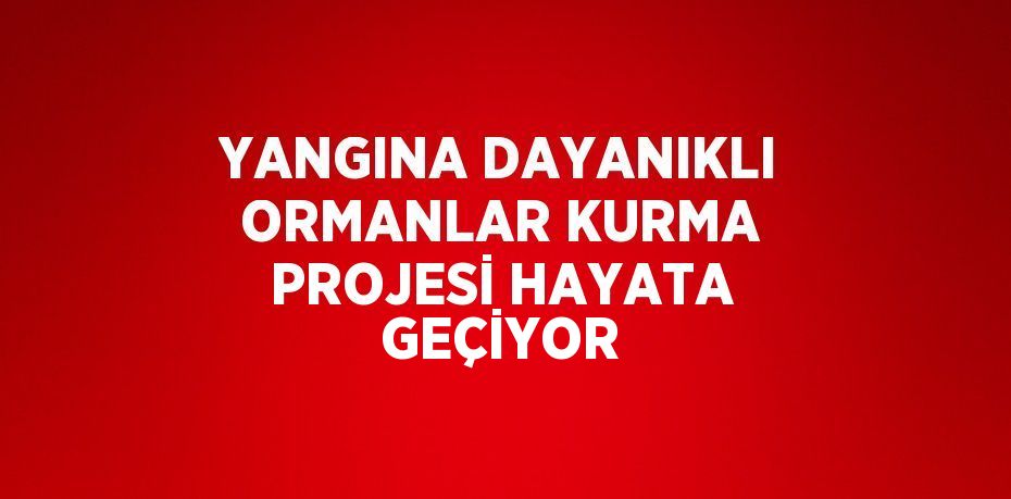 YANGINA DAYANIKLI ORMANLAR KURMA PROJESİ HAYATA GEÇİYOR